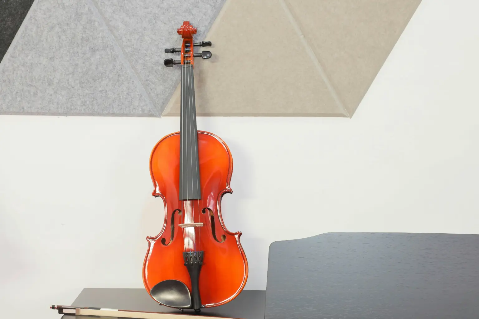 Viola